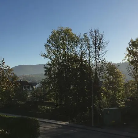 Schwarzwald - Achern - Ortenaukreis - Apartment Niederdorla
